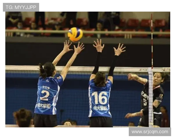 杭州排球队在锦标赛中的默契配合与战术执行分析